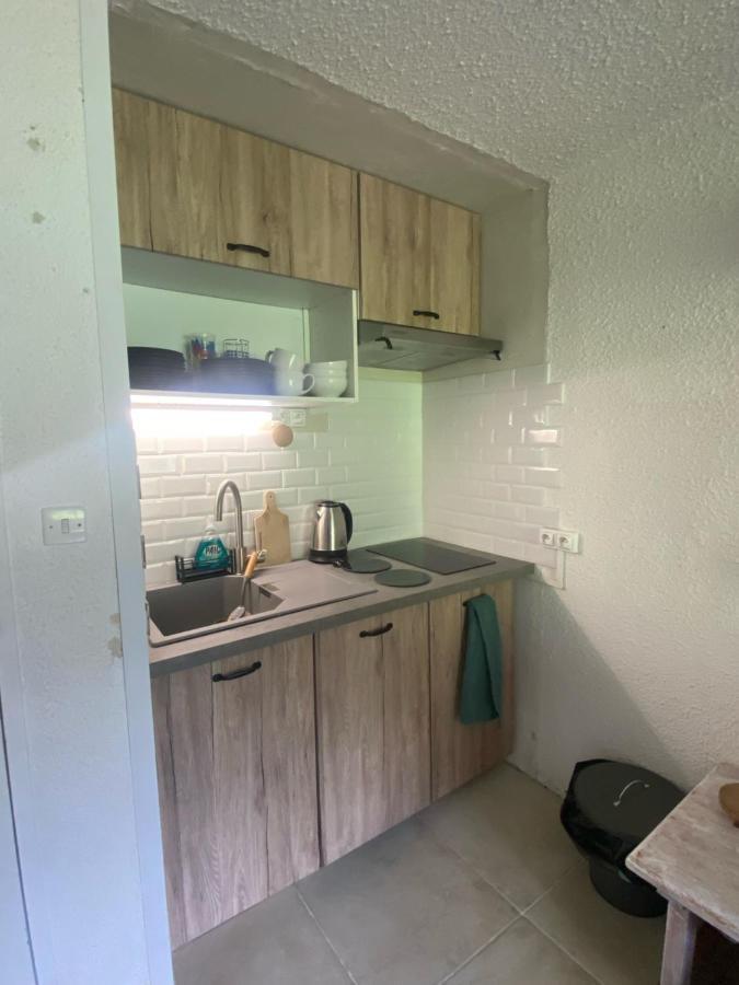 Апартаменти Appt Chaleureux 2 - 4 Personnes Au Pied Des Pistes - Draps Et Linges De Toilette Non Fournis - Menage Non Inclus Ла-Монжі Екстер'єр фото